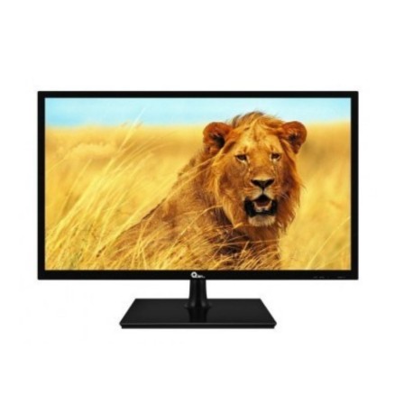 Monitor QIAN QM191702 - 19.5" - 1600x900 -...